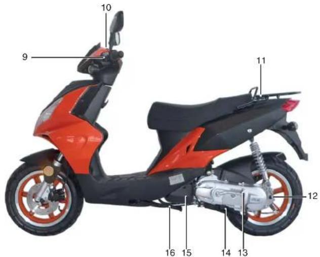 Sachs Speedforce 50 (2008) - Fahrzeugansicht links - 1