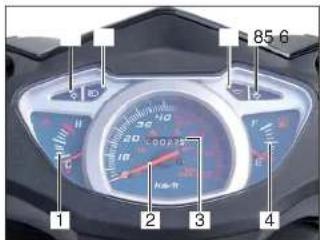 Sachs Speedjet RS (2009) - Cockpit - 1