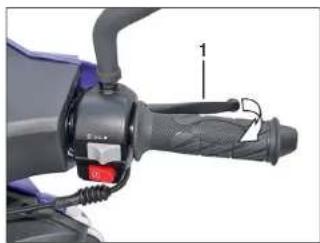 Sachs Speedjet RS (2009) - Bremsen - 1