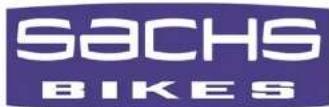 Sachs BEE 125 (2008) - 1