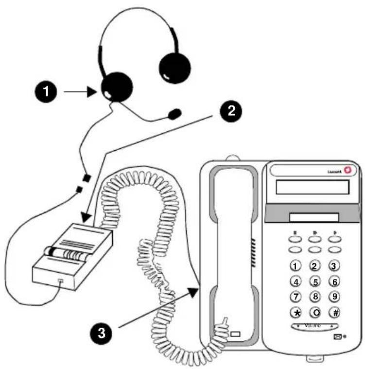 AVAYA 6424DplusM - Sprechgarnituren - 1