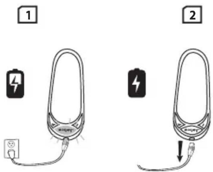 Diagram illustrating two methods of using a smart plug, showing charging and discharging process with battery and plug details.