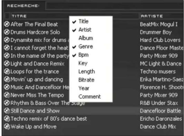 HERCULES VirtualDJ DJC MP3 e2 - i) Anpassen der Taganzeige - 1