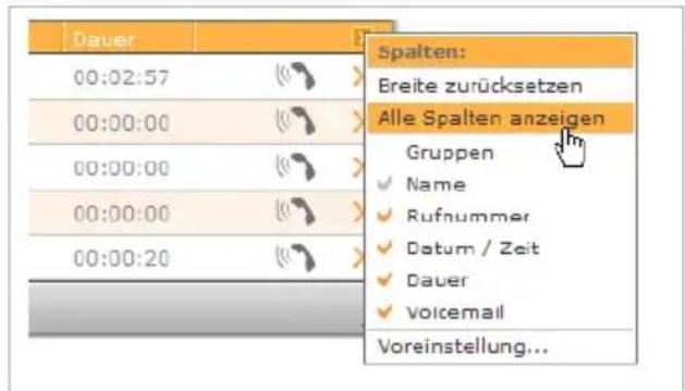 SIEMENS Gigaset T500 Pro - Listenelemente - 2