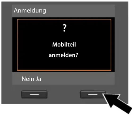 SIEMENS Gigaset DX600A - Registrierungs-Assistent - 1