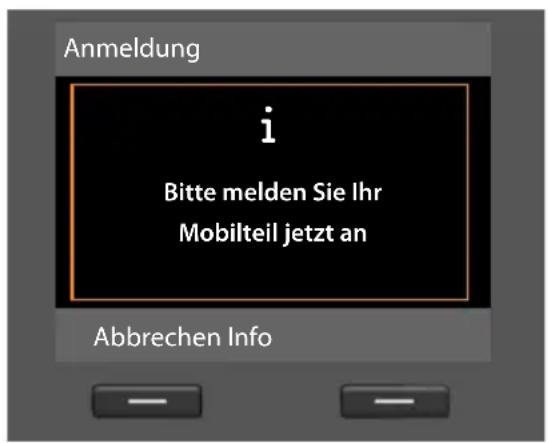 SIEMENS Gigaset DX600A - Hinweis - 1