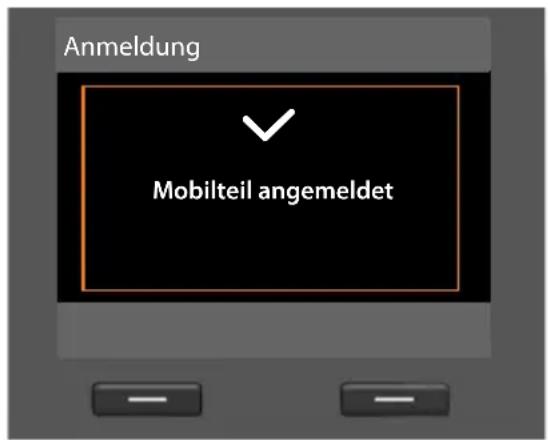 SIEMENS Gigaset DX600A - Info - 1