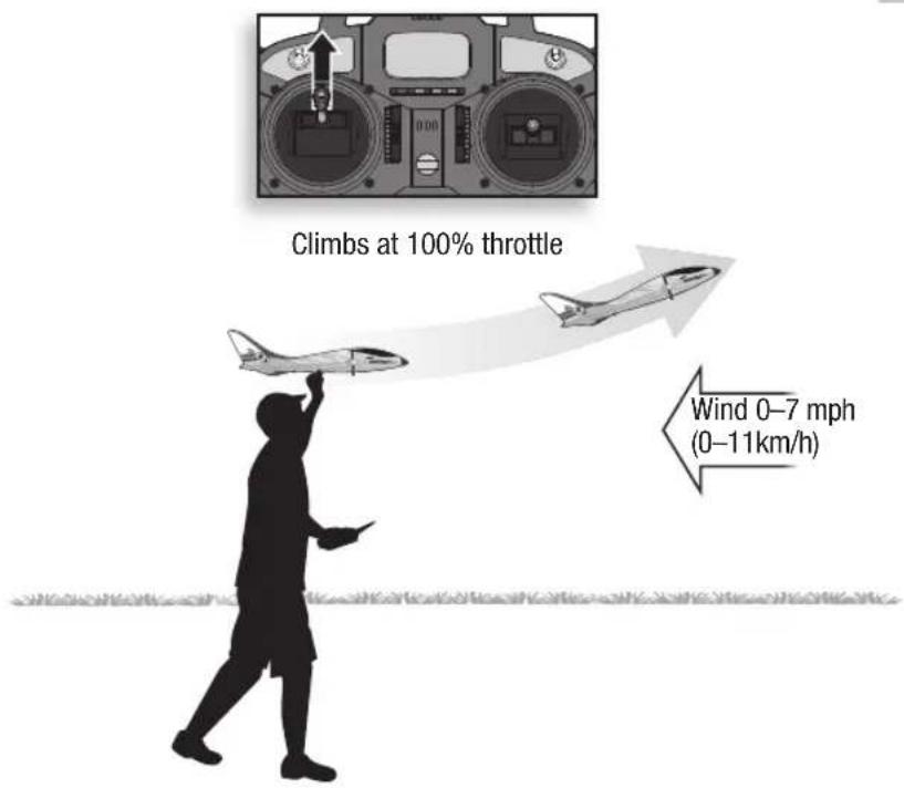 Hobby Zone Delta Ray - Control Direction Test - 9