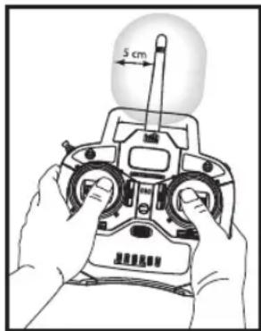 Hobby Zone Delta Ray - IC Information - 1