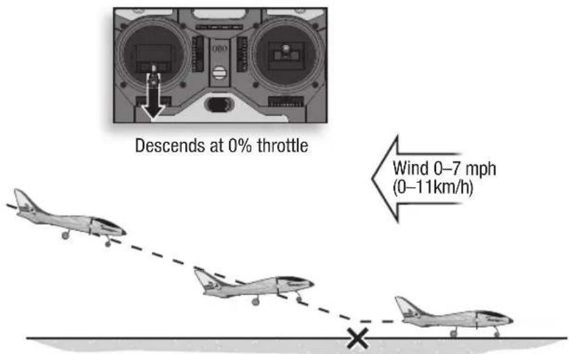 Hobby Zone Delta Ray - Panic Recovery - 8