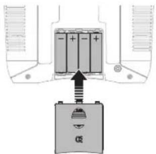 Hobby Zone Delta Ray - READY-TO-FLY - 1