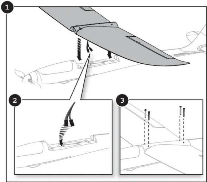 Hobby Zone Conscendo S RTF - Wing Installation continued - 1