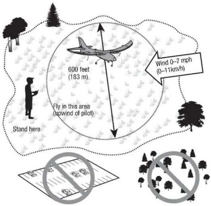 Hobby Zone Stratocam - The site should: - 1