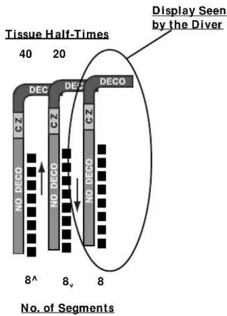 OCEANIC XTC-100 - MULTIPLE TISSUE TRACKING - 2
