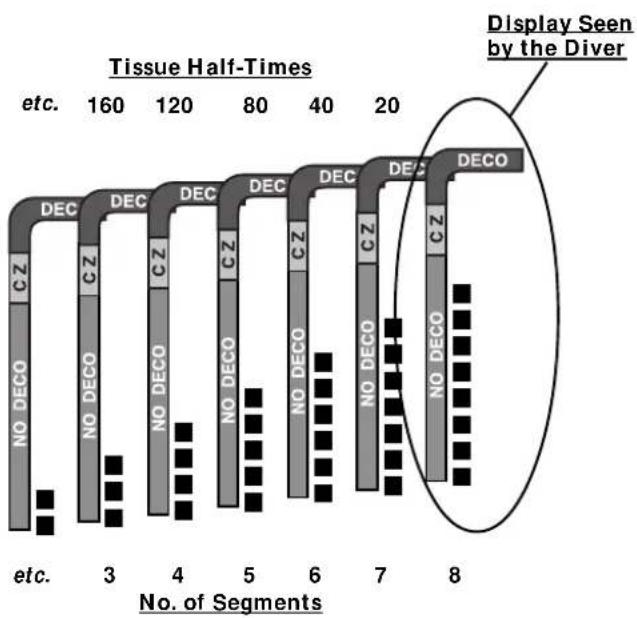 OCEANIC XTC-100 - MULTIPLE TISSUE TRACKING - 1