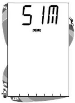 5.1m DEMO