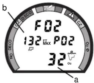 b F02 132 FT MAX P02 32 a NO DECO O2