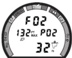 F02 132 FT MAX P02 32 Oz
