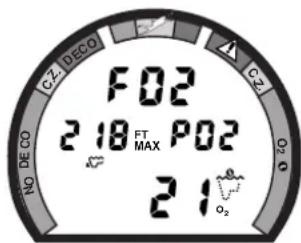 F02 218 FT P02 MAX 21 o₂