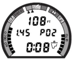 CZ. DECO 100 FT 1:45 P02 0:00 CZ. NO DECO 0:0