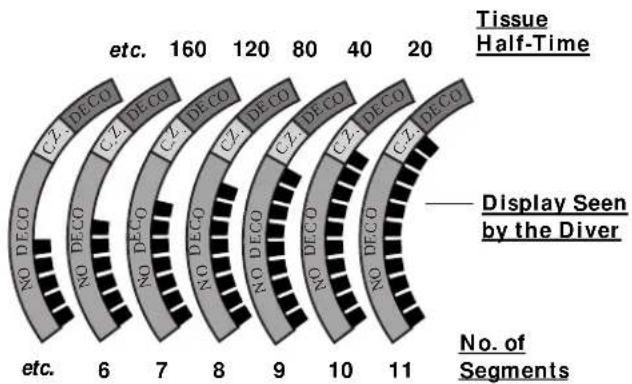 OCEANIC Data Plus 2 - MULTIPLE TISSUE TRACKING - 1
