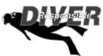 OCEANIC Data 100 - RESPONSIBLE COMPUTER DIVING - 1