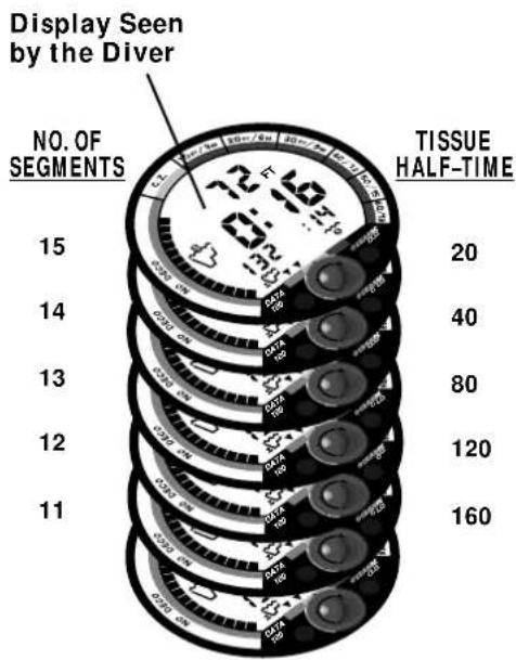 Display Seen by the Diver NO. OF SEGMENTS TISSUE HALF-TIME 15 20 14 40 13 80 12 120 11 11 160