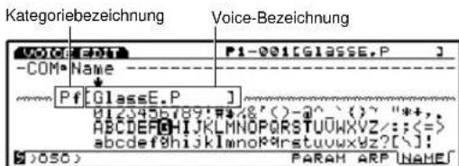 Kategoriebezeichnung Voice-Bezeichnung VOICE P1-001[GLASSE.P] -COM Name Pf[GlassE.P] 0123456789*8&'()~@^~()~ "*+ ABCDERGHIJKLMNOPRSTUUVWXZ:;<=> abcdefghijklmnopqrstuvwxyz?[!! $ >050) PARAM ARP NAME