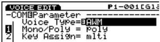 VOICE EDIT P1-001[CG13] -COMParameter Voice Type=RAWM Mono/Poly = Poly Key Assignn= mlti
