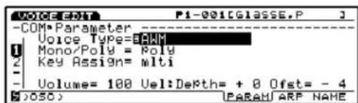 -COM Parameter Voice Type=0.0MM Mono/Pold = Poly Key Assign= mlti Volume= 100 Vel:Depth= + 0 Ofst= - 4 (050) PARAM ARP NAME