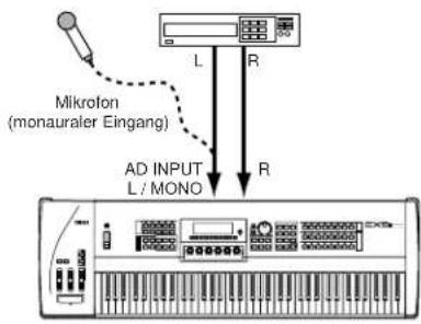 Mlikrofon (monauraler Eingang) L R AD INPUT L / MONO R