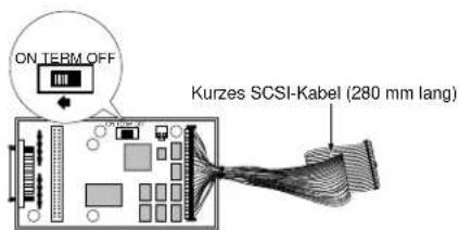 ON TERM.OFF Kurzes SCSI-Kabel (280 mm lang)