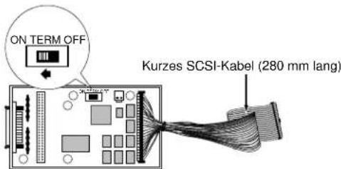 ON TERM OFF Kurzes SCSI-Kabel (280 mm lang)