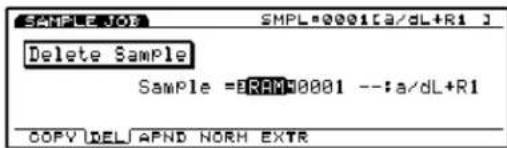 SMPL=0001[a/dL+R1] Delete Sample Sample =RAM0001 --:a/dL+R1 COPY IDEL APND NORH EXTR
