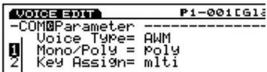 -COM&Parameter Voice Type= AWM Mono/Poly = Poly Key Assignn= mlti