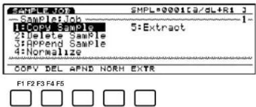 SAMPLE JOB SMPL-0001[3/dL+R1] Sample:Job 1- 1:Copy Sample 5:Extract 2:Delete Sample 3:APPend Sample 4:Normalize COPY DEL APND NORM EXTR F1 F2 F3 F4 F5