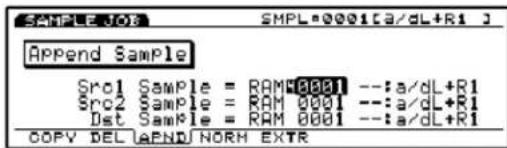 SMPL=0001[a/dL+R1] APPEND Sample Src1 Sample = RAM40001 --:a/dL+R1 Src2 Sample = RAM 0001 --:a/dL+R1 Dst Sample = RAM 0001 --:a/dL+R1 COPY DELAEND/NORM EXTR