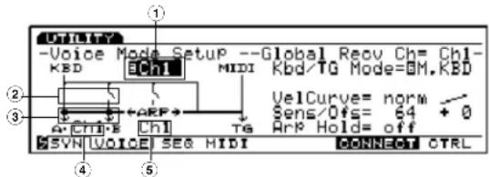 Utility -Voice Mode SetupP --Global Recv Ch= Ch1- KBD BCh1 MIDI Kbd/TG Mode=BM.KBD VelCurve= norm Sens/Ofs= 64 + 0 ArP Hold= off #CH1+ Ch1 TG #SVN VOICE SEG MIDI CONNECT CTRL ① ② ③ ④ ⑤