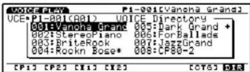 VOICE PLAY P1-001[Vanona Grand] VOICE P1-001(A01) VOICE Directory 001:Vanona Grand 005:Dark Grand + 002:Stereo Piano 006:For Ballads 003:BriteRock 007:JazzGrand 004:Rockn Bose* 008:CP80-2 [P1] [P2] [X1] [X2] [OTO] DIR