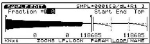 SAMPLELOT SMPL=0001[3a/dL+R1] Fraction = 0 0 Start End Top 0 0 118685 118685 KNx1 ZOOMS LF. LOOK PARAM LOOP NAME