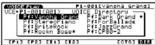 VOICE PLAY P1-001[Vanoha Grand] VOICE P1-001 (A01) VOICE Directory Pf:Vanoha Grand Pf:Dark Grand + Pf:Stereo Piano Pf:For Ballads Pf:BriteRock Pf:JazzGrand Pf:Rockn Bose* Pf:CP80-2 [PI] [P2] [T1] [T2] [OT6] DIR