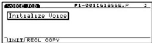 VOICE NO P1-001CGLASSE.P Initialize Voice UNIT REAL COPY
