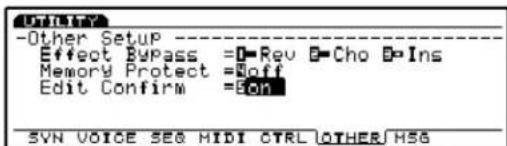 -Other Setup Effect Bypass =0=Rev 0=Cho 0=Ins Memory Protect =0off Edit Confirm =0on SYN VOICE SEG MIDI CTRL OTHER HSG