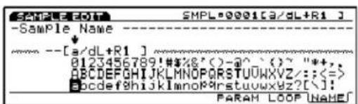 SAMPLE:001 SMPL-0001[ca/dL+R1] -Sample Name -- [a/dL+R1] 0123456789!#%&^()~@^`()~"*+, ABCDEFGHIJKLMNOPQRSTUVWXYZ;<=> abcdefghijklmnopqrstuvwxyz?[\]; abcdefghijklmnopqrstuvwxyz?\( ^{ } \) :\ PARAM LOOP\NAME
