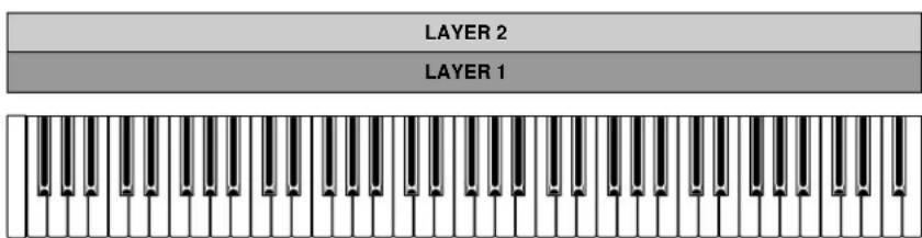 LAYER 2 LAYER 1