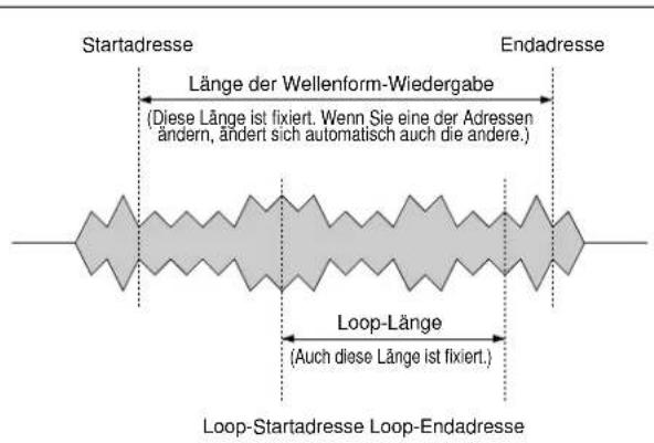 Startadresse Länge der Wellenform-Wiedergabe (Diese Länge ist fixiert. Wenn Sie eine der Adressen ändern, ändert sich automatisch auch die andere.) Endadresse Loop-Länge (Auch diese Länge ist fixiert.) Loop-Startadresse Loop-Endadresse
