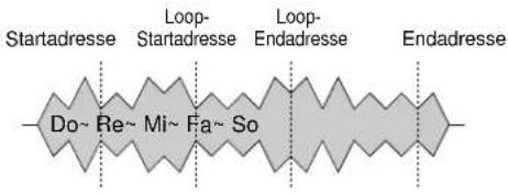 Startadresse Loop- Startadresse Loop- Endadresse Endadresse Do~ Re~ Mi~ Fa~ So