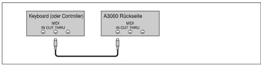 Keyboard (oder Controller) MIDI IN OUT THRU A3000 Rückseite MIDI IN OUT THRU