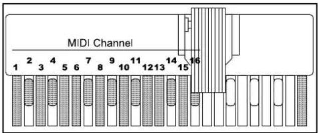 Hammond XK-System - ◆MIDI CHANNEL - 1