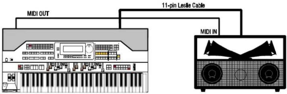 Hammond Leslie 2102 - ♦ Connecting to a single-channel Hammond Organ using the 11-pin receptacle - 3